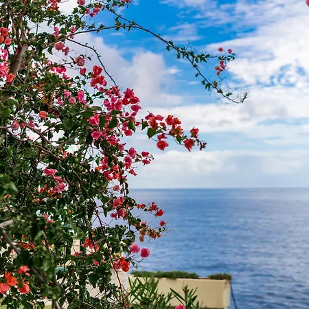 Gorgeous In * كالاو سالفاجي